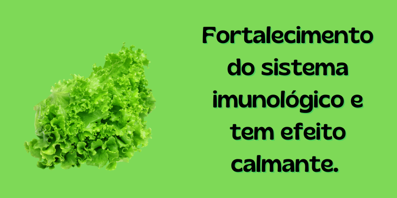 Vantagens de consumir alface